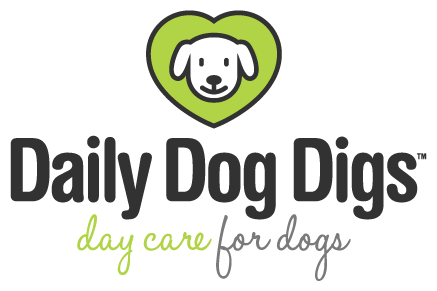 Daily Dog Digs logo